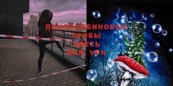 jwh Пестово