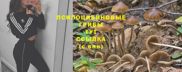 стафф Пересвет