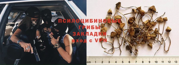 a pvp Переславль-Залесский